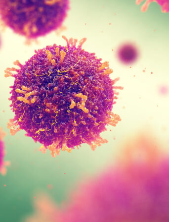 Measles also known as morbilli and rubeola is a highly contagious viral infection
